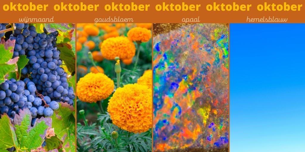 alles over je geboortebloem geboortesteen en kleur geboortemaand