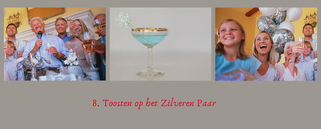 08 idee 8 feest zilveren huwelijk toosten op bruidspaar