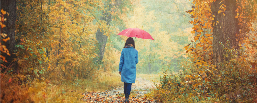 regen wandeling natuur