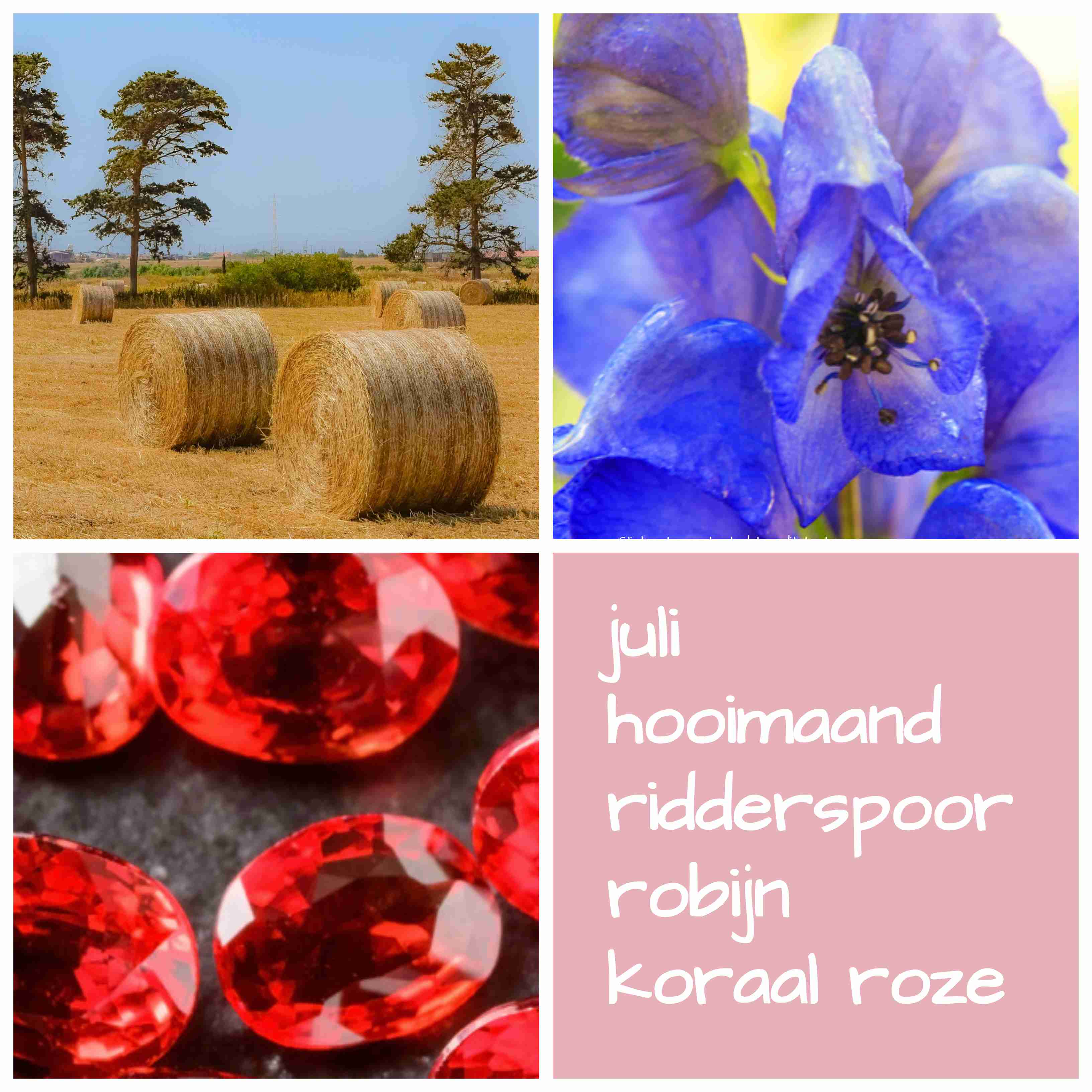 verjaardag juli koraal roze ridderspoor robijn hooimaand geboortebloem geboortesteen geboortekleur