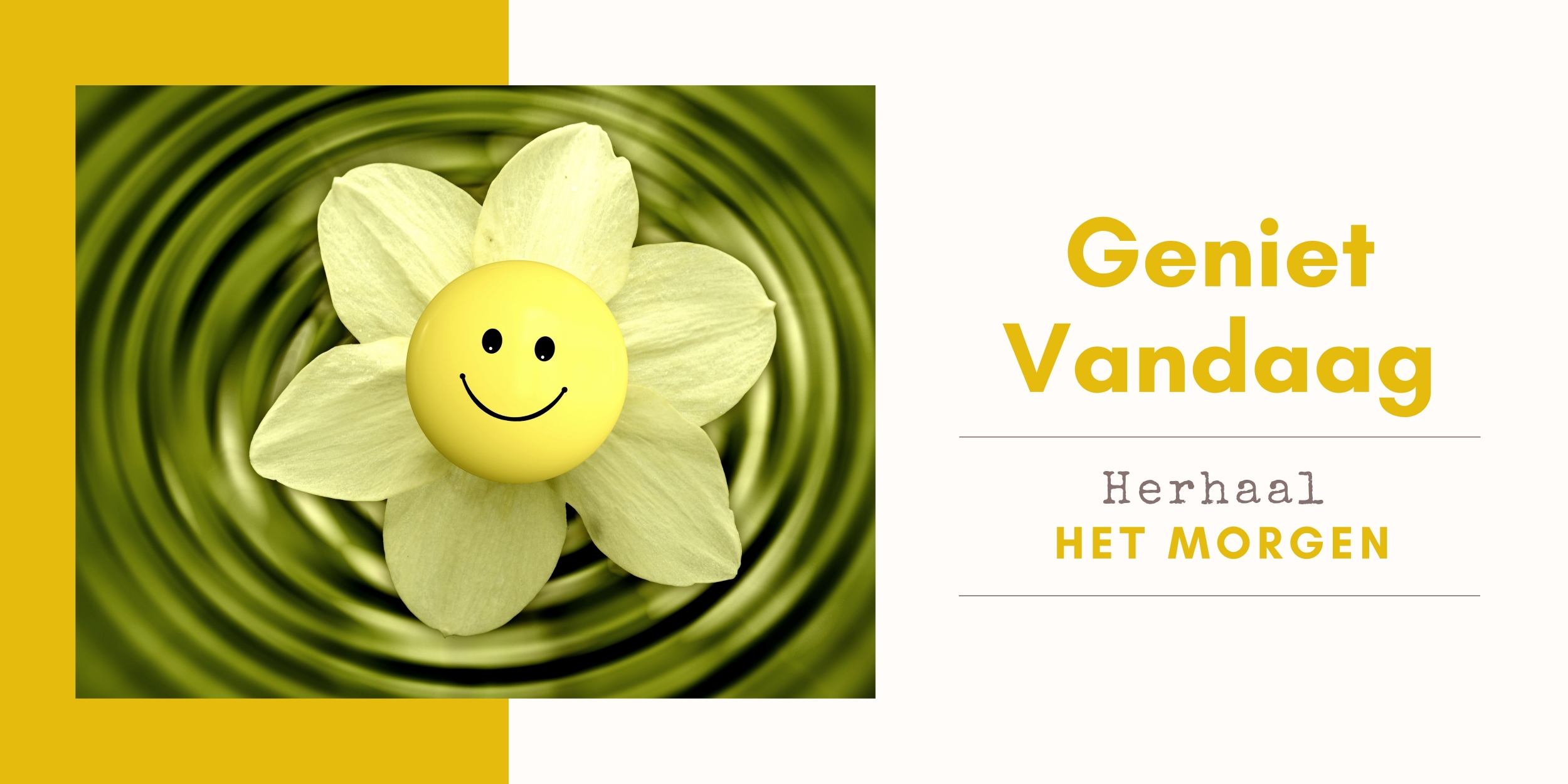 geniet vandaag herhaal het morgen