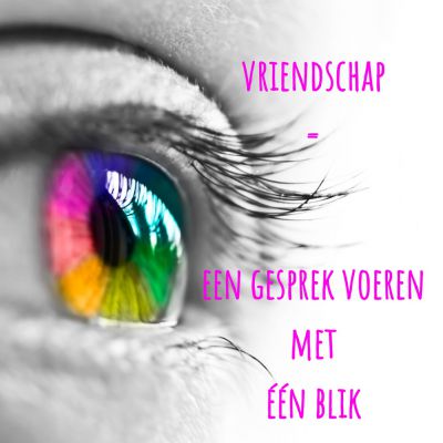 vriendschap = gesprek met 1 blik